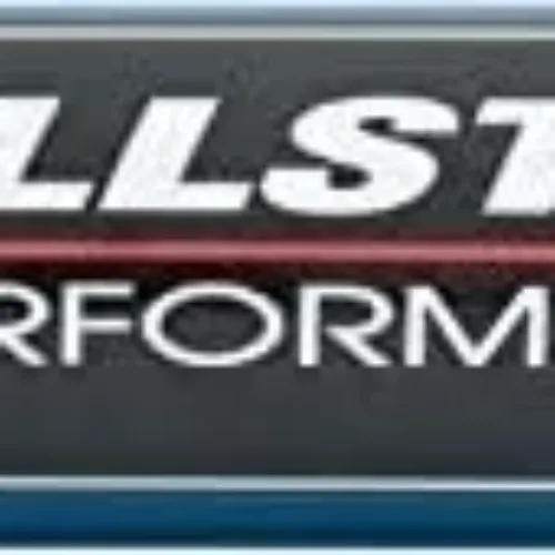 Allstar ALL40242 Fuel Filter 8in -12 Stainless Element