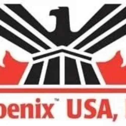 Phoenix USA PH1763L Hub Cover