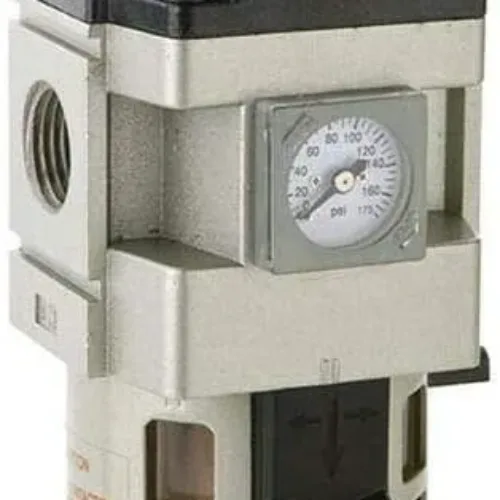 (GG) K93217 3/4 Inch 175 Max PSI NPT Filter Regulator with Gauge