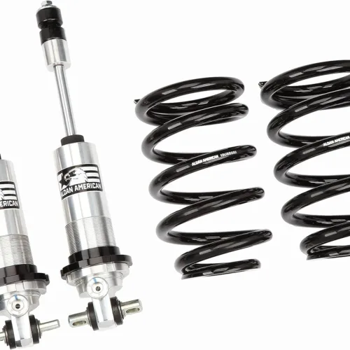 Aldan 300132 Coil-Over Kit, GM